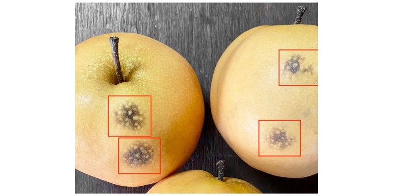 永乐高·(中国区)官方网站