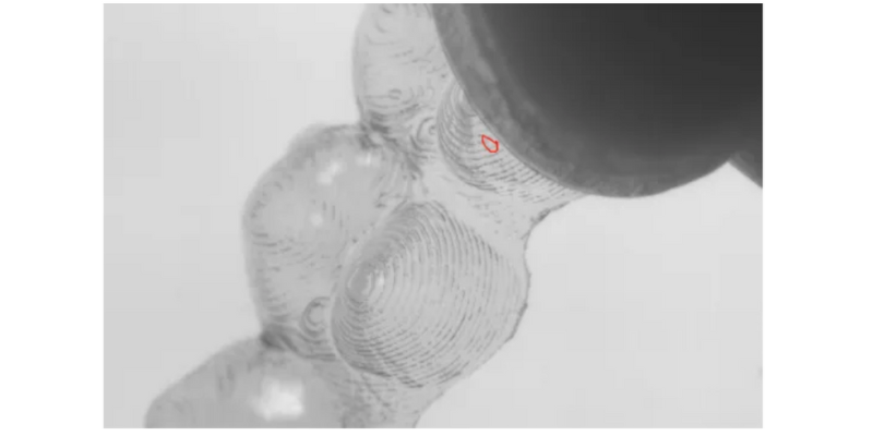 永乐高·(中国区)官方网站